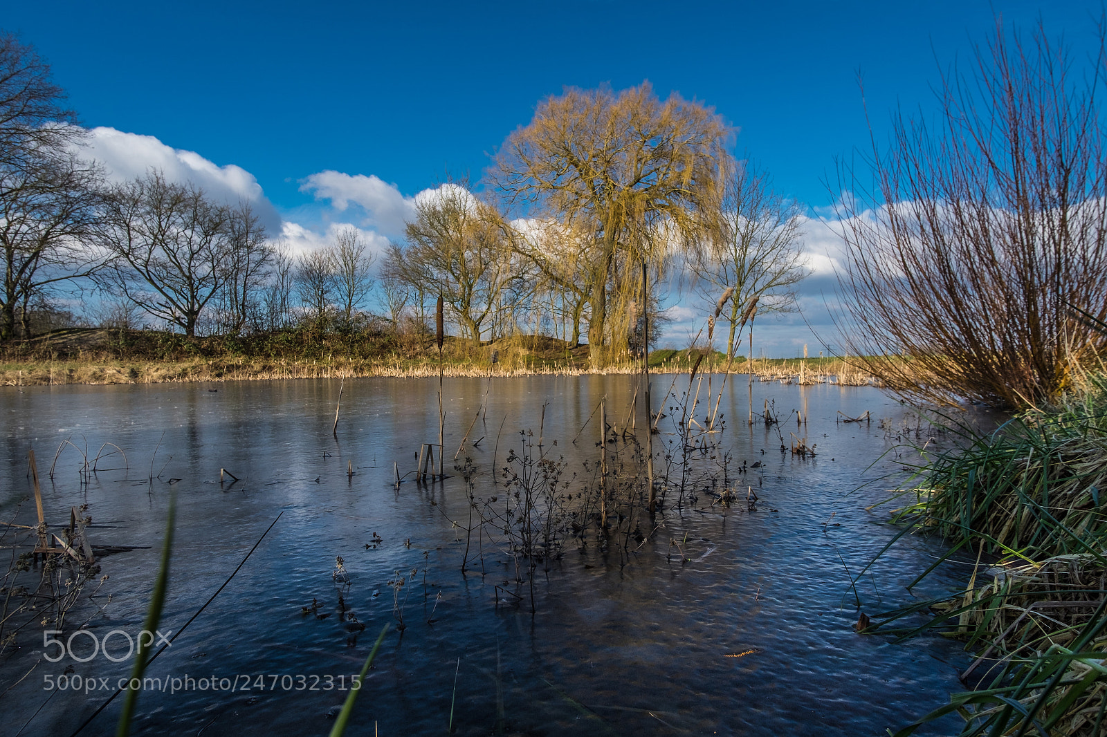 Fujifilm X-T1 sample photo. Ein sonniger wintertag photography