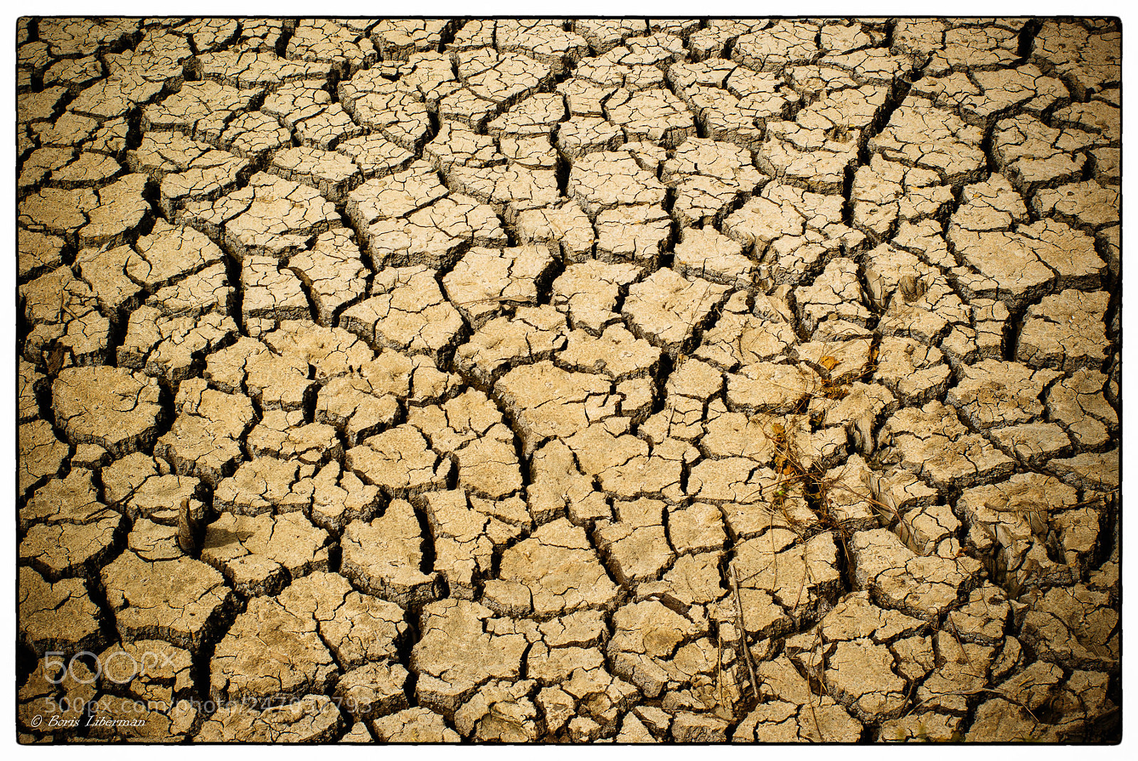 Pentax K10D sample photo. Scorched earth photography