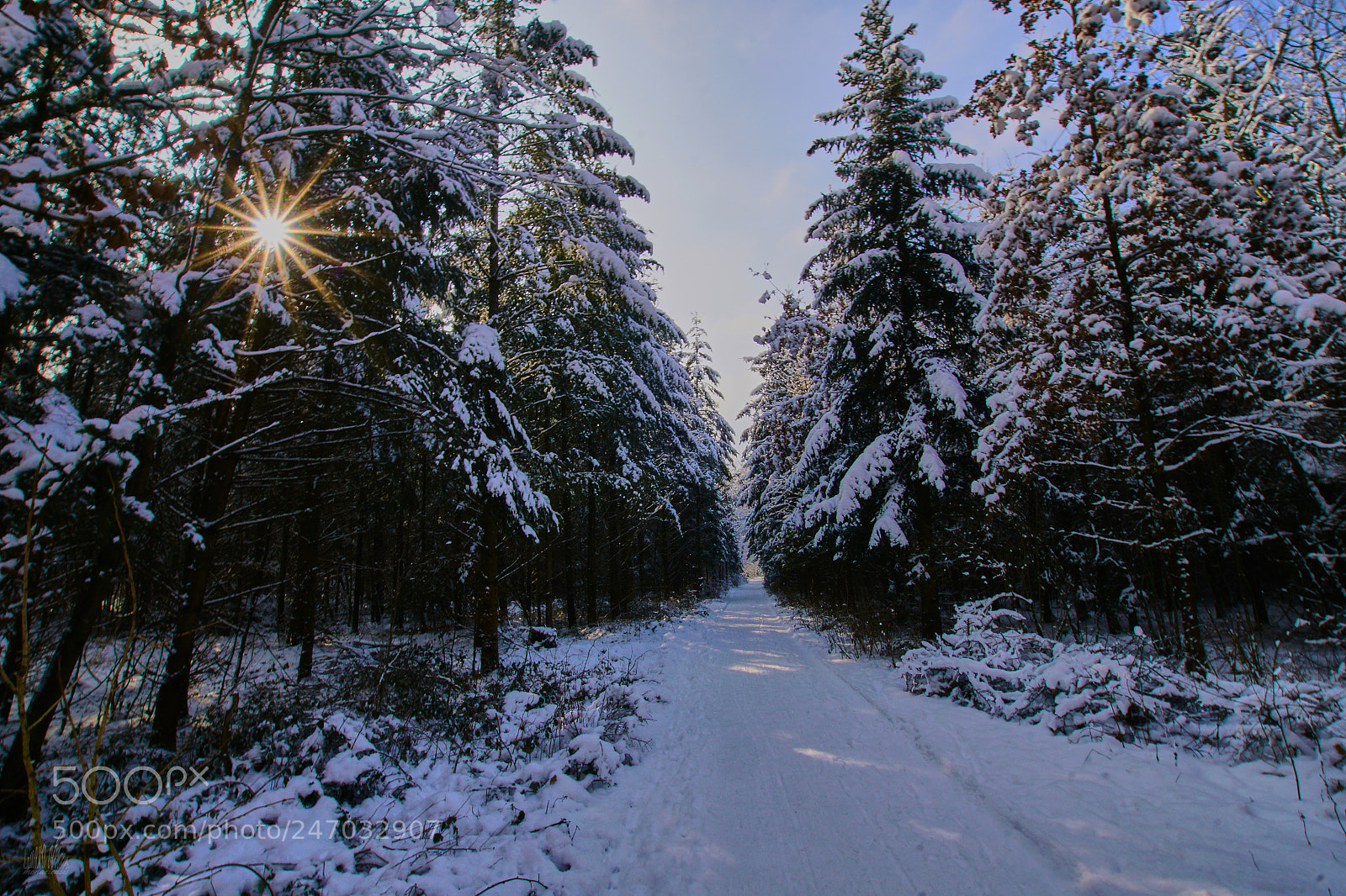 Sony ILCA-77M2 sample photo. A star is born photography