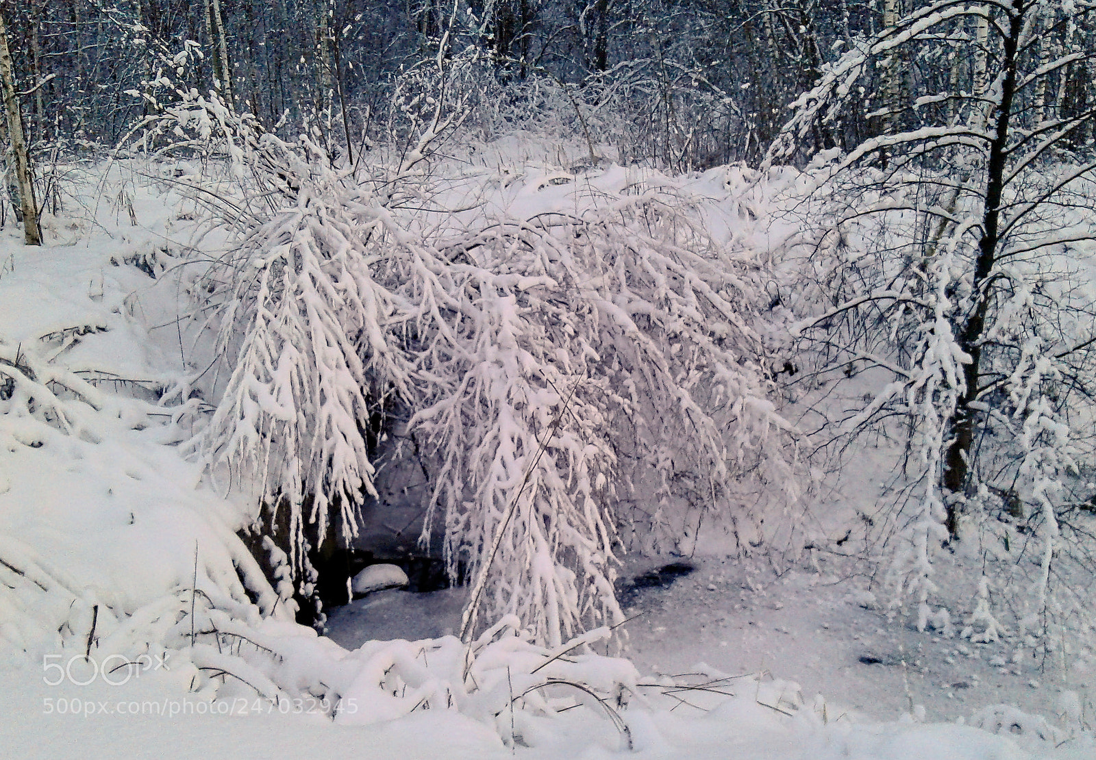 Samsung Galaxy J1 sample photo. Winterscape photography