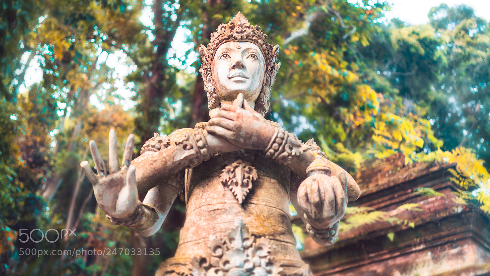 Sony a7R II sample photo. The power is in photography