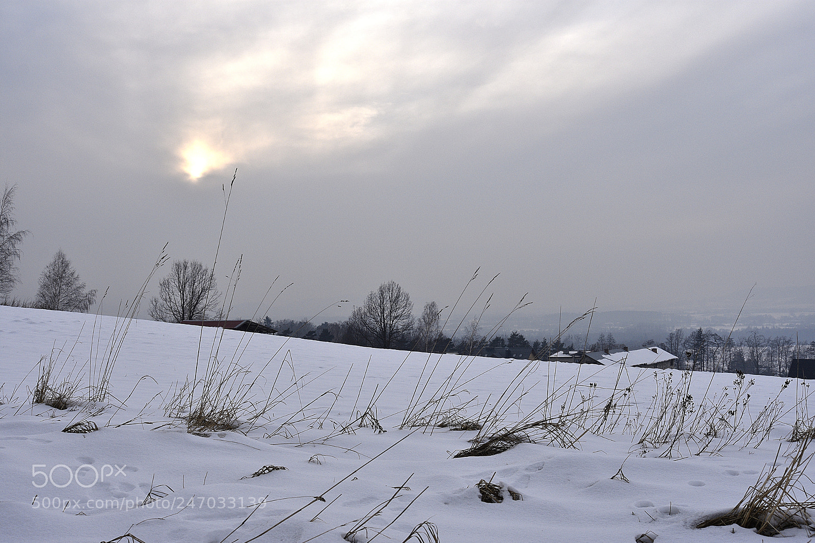 Nikon D3400 sample photo. Winter in poland photography