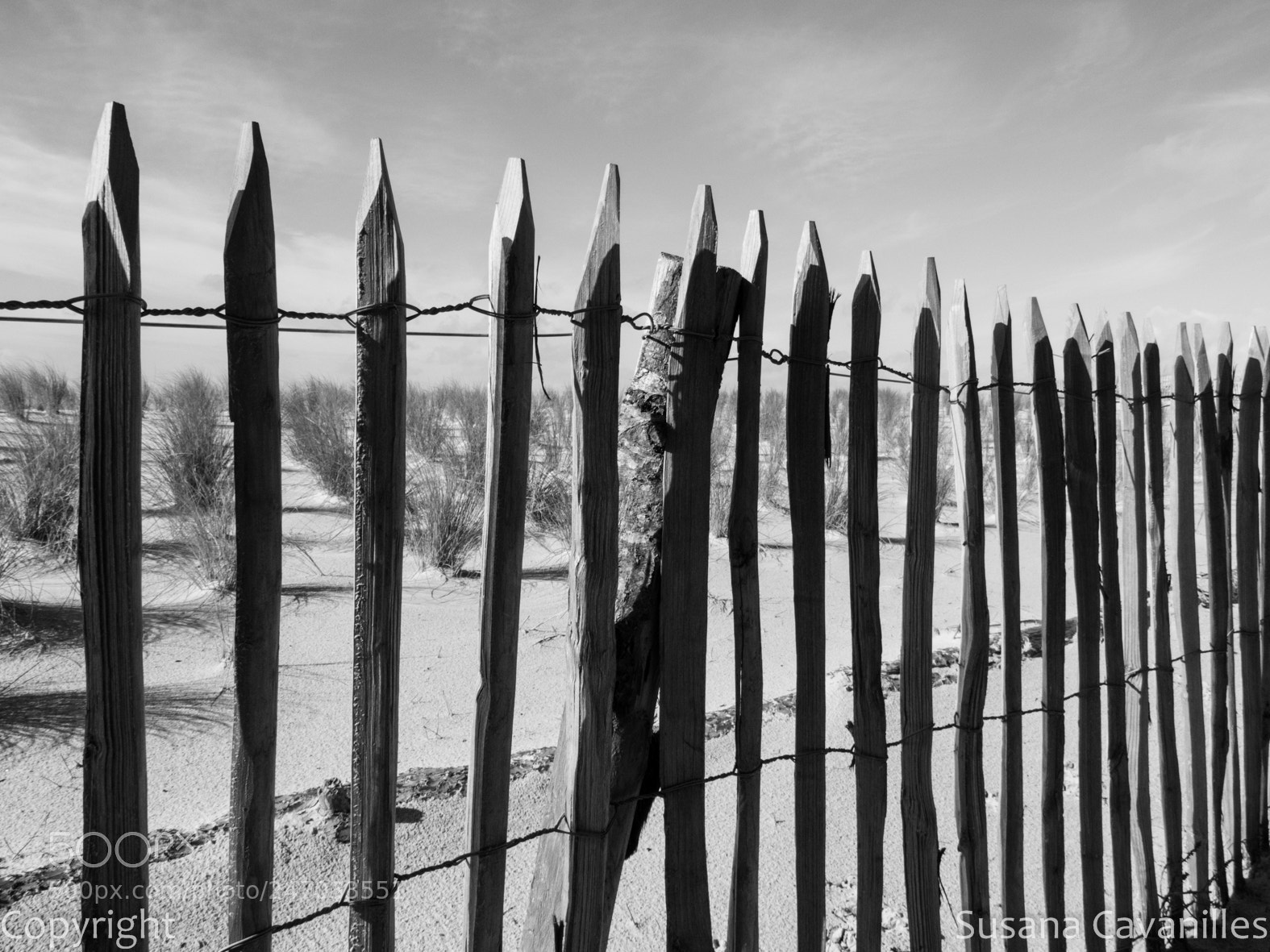 Canon PowerShot SX60 HS sample photo. Valla de madera photography