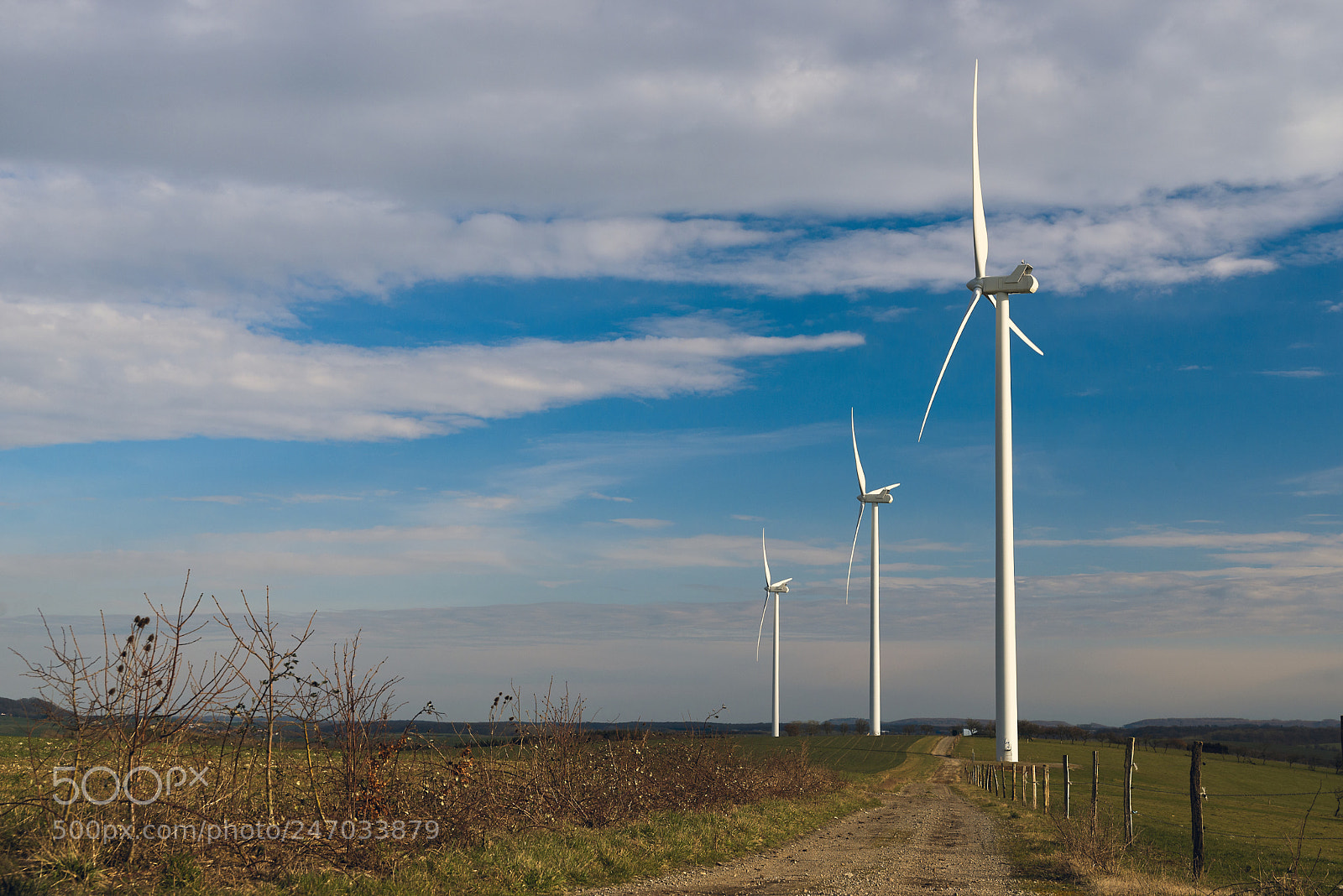 Nikon D610 sample photo. Iii photography