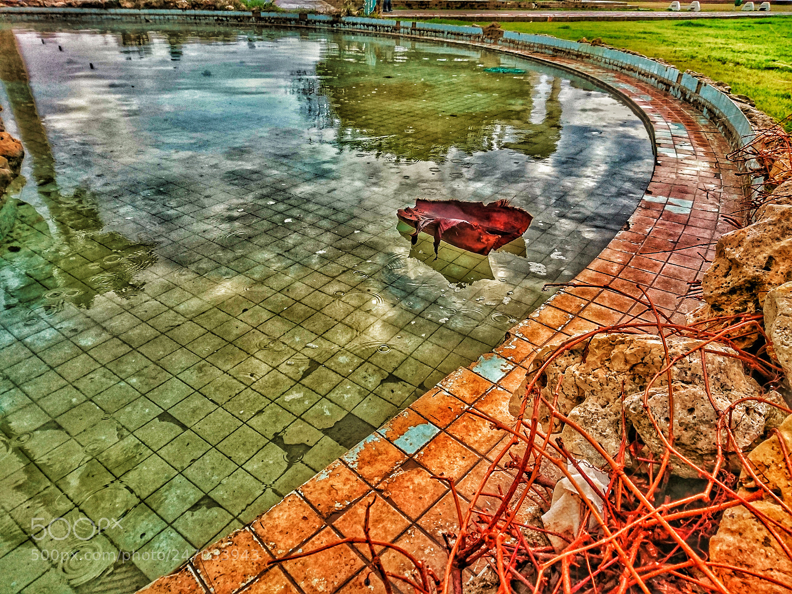 Sony Xperia XZ sample photo. Green water photography