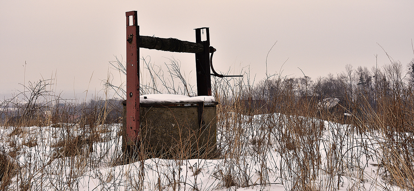 Nikon D3400 sample photo. The well photography