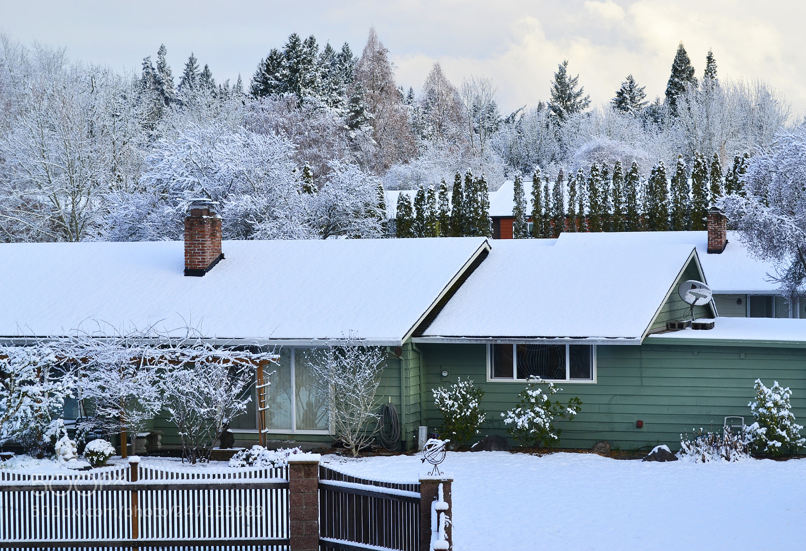 Nikon D3100 sample photo. February snowscape photography
