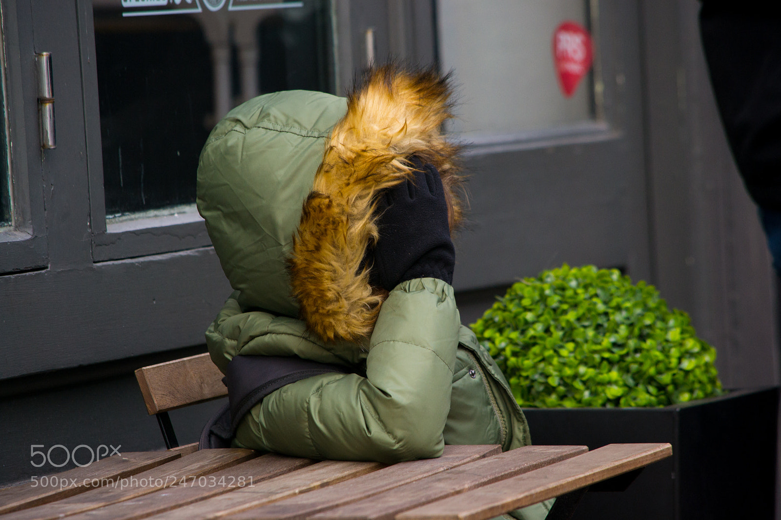 Nikon D3100 sample photo. Hiding out photography