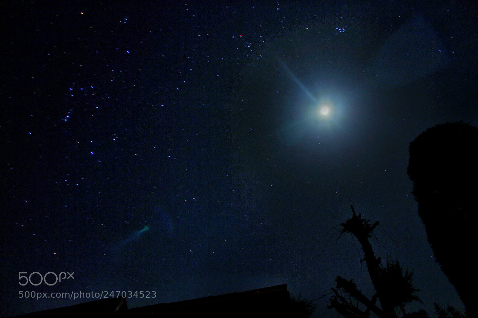 Canon EOS 700D (EOS Rebel T5i / EOS Kiss X7i) sample photo. A cold winters night photography