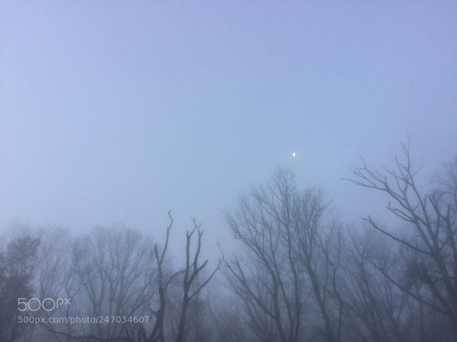 Apple iPhone 6 Plus sample photo. Wants photography