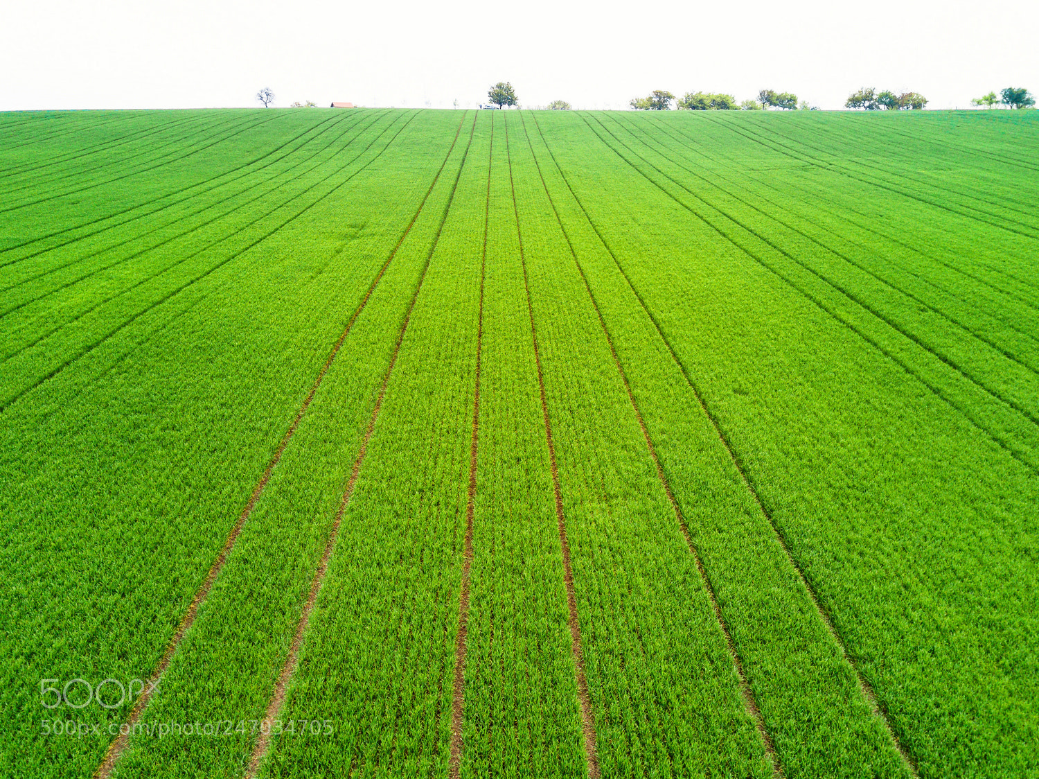 DJI FC220 sample photo. Spring fields of south photography