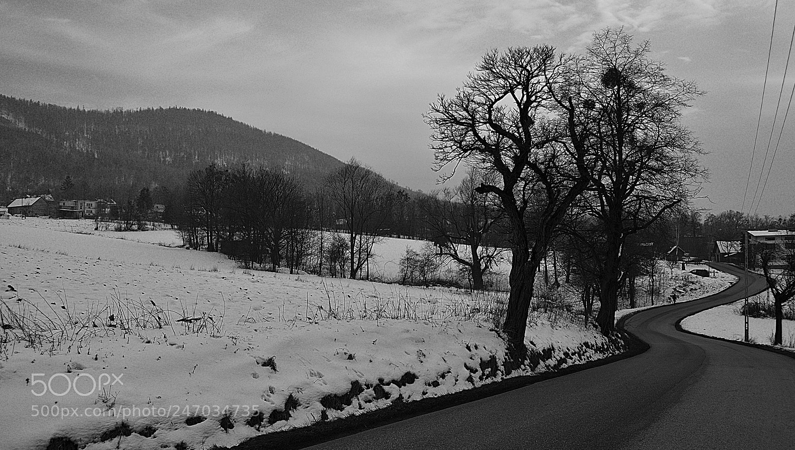 Nikon D3400 sample photo. Winding road photography