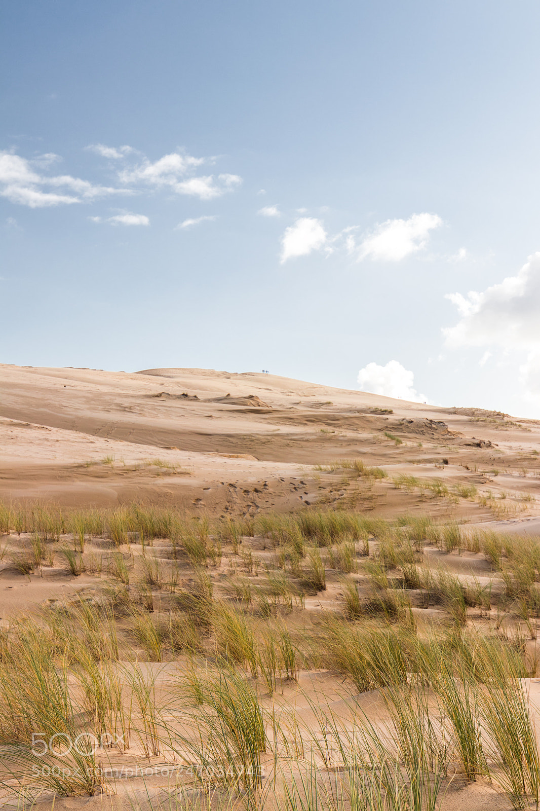 Canon EOS 80D sample photo. Dreamy landscape photography