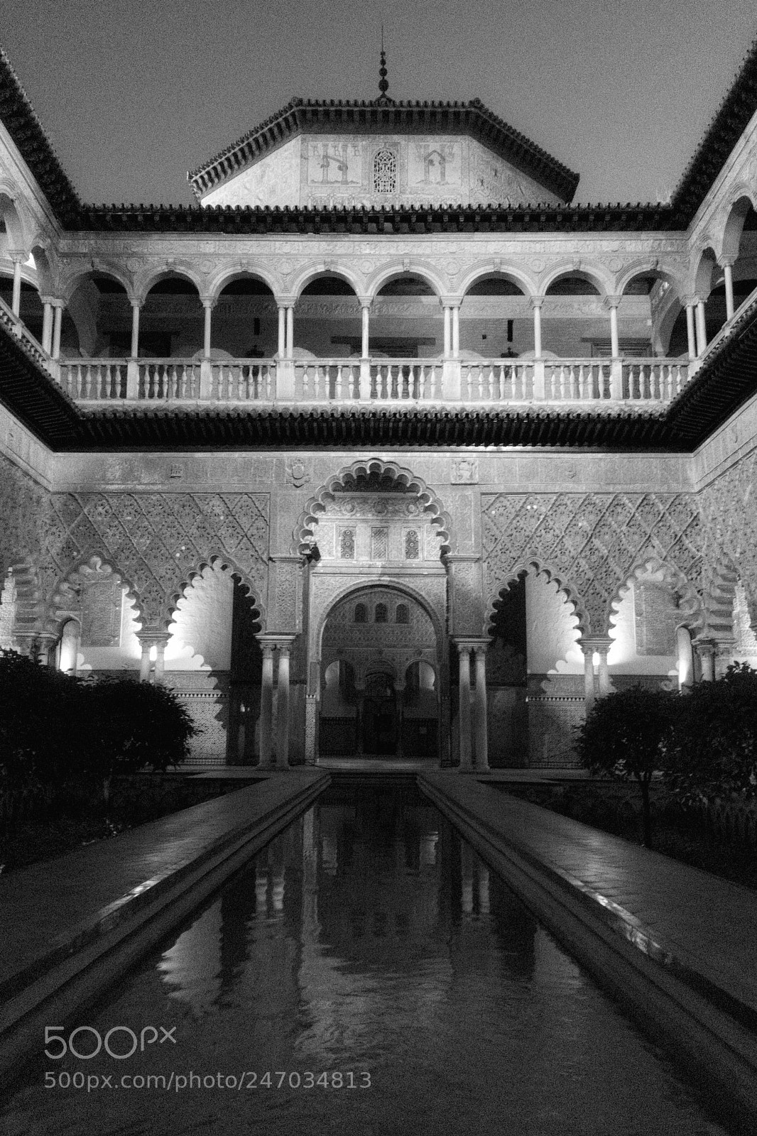 Apple iPhone SE sample photo. Dorne... photography