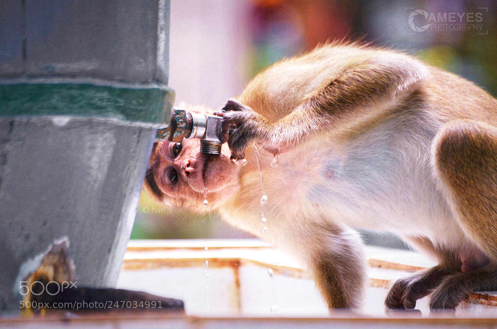 Nikon D5100 sample photo. Untitled photography