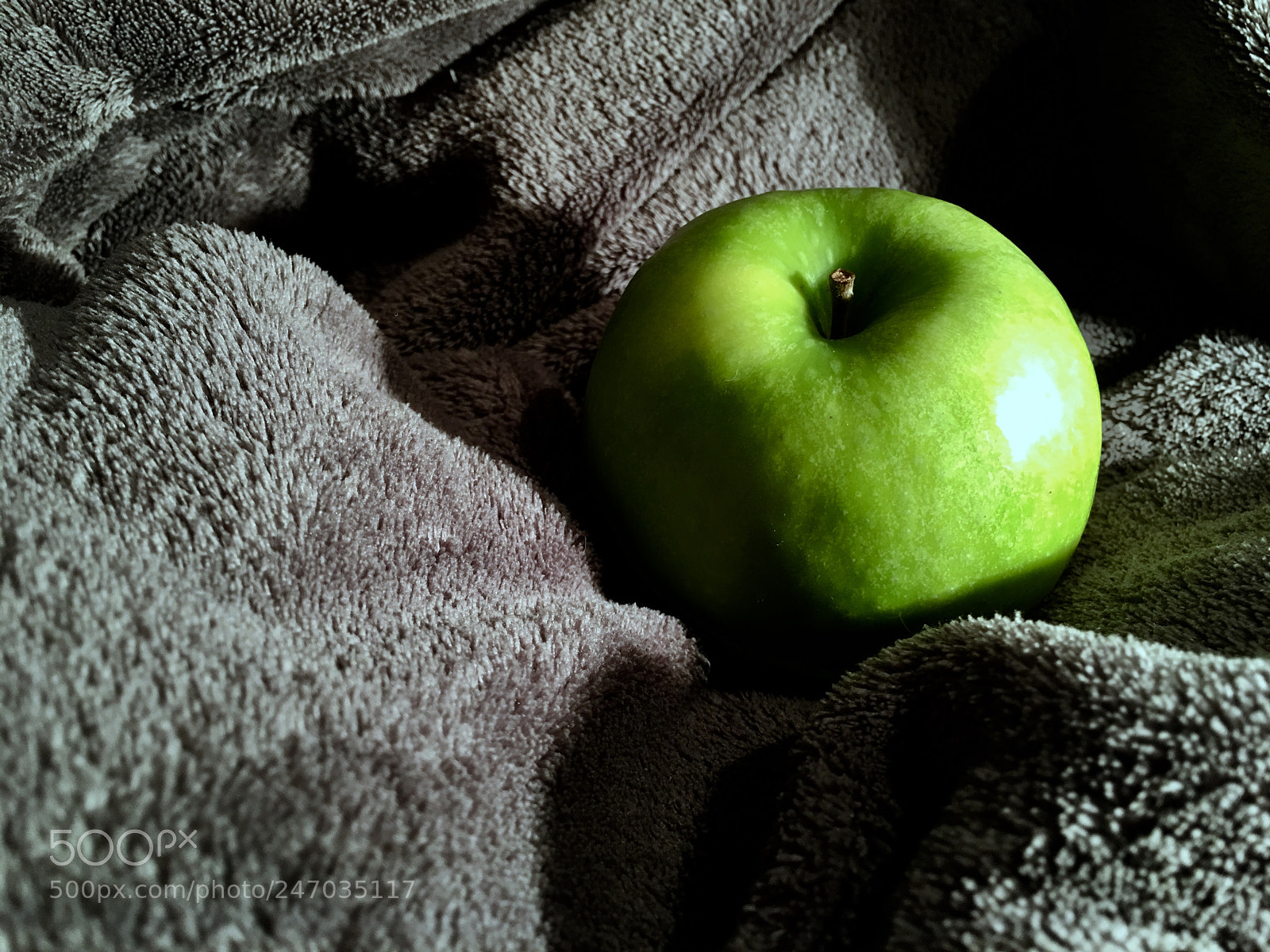 Apple iPhone 6s Plus sample photo. Untitled photography