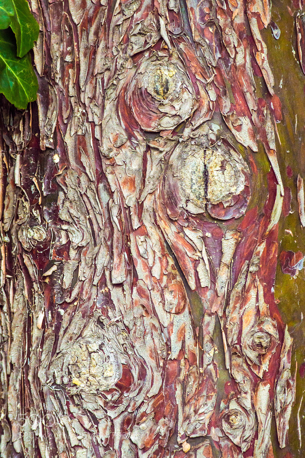 Nikon D3200 sample photo. Dsc photography