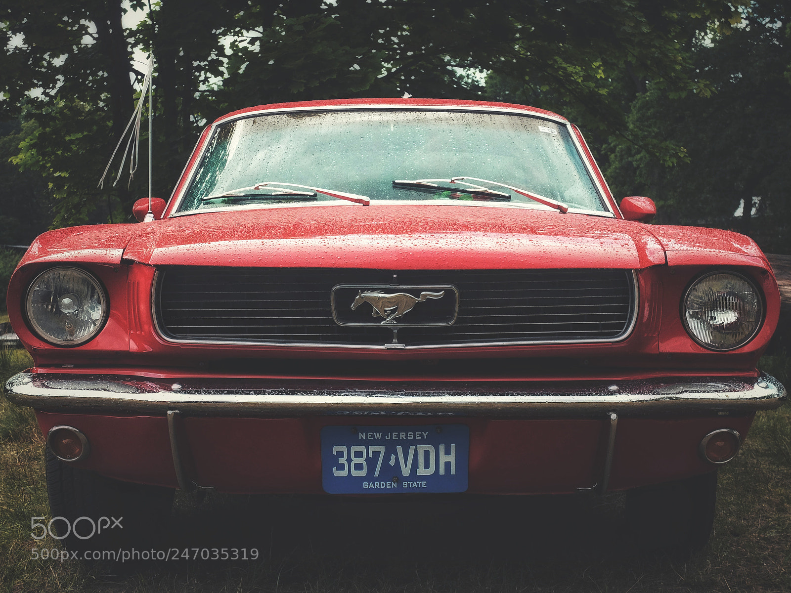 Fujifilm X30 sample photo. Mustang photography