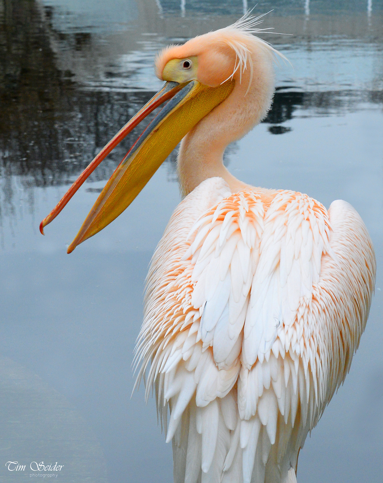 Nikon D610 sample photo. Nice back photography