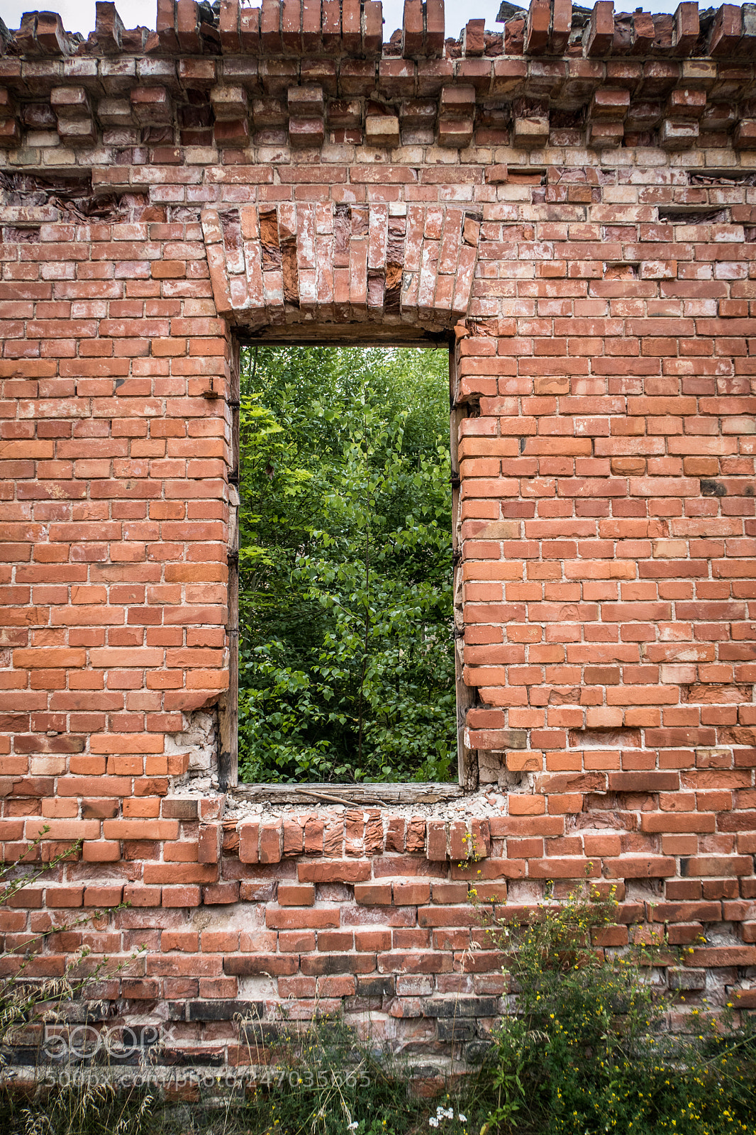 Canon PowerShot G7 X Mark II sample photo. Red brick wall photography