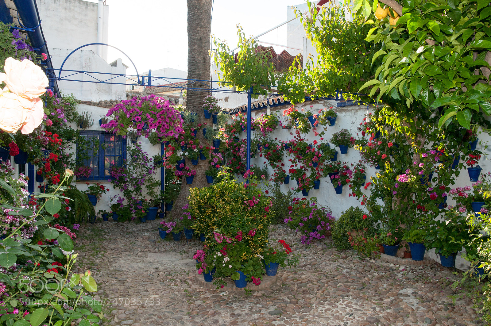 Nikon D300S sample photo. Córdoba photography