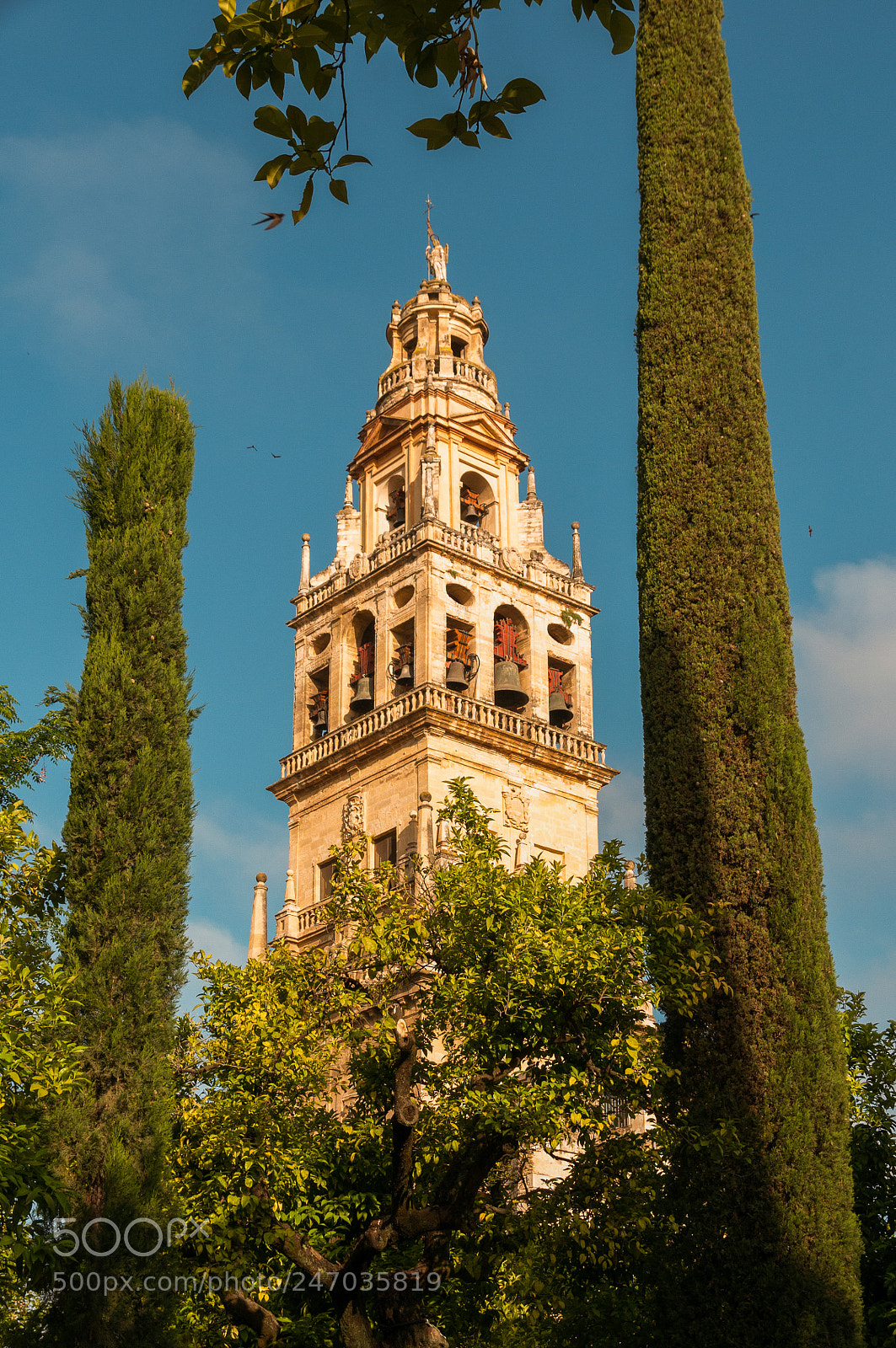 Nikon D300S sample photo. Córdoba photography