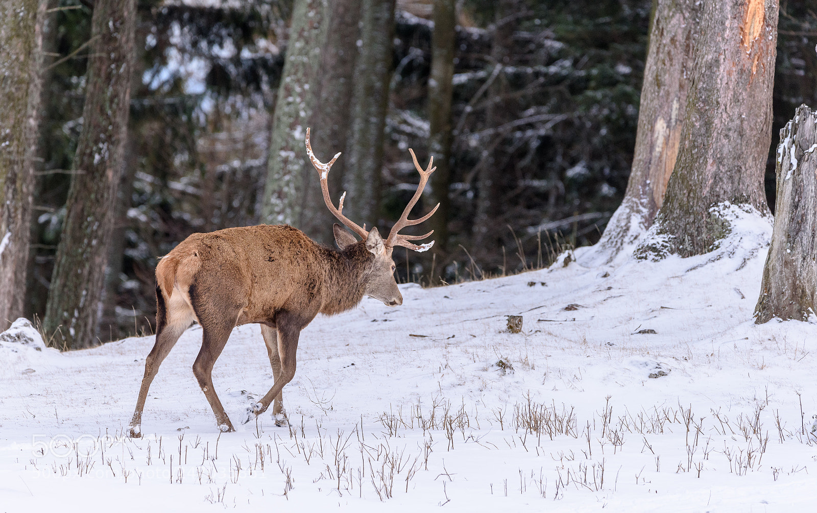 Nikon D810 sample photo. Let's call it a photography