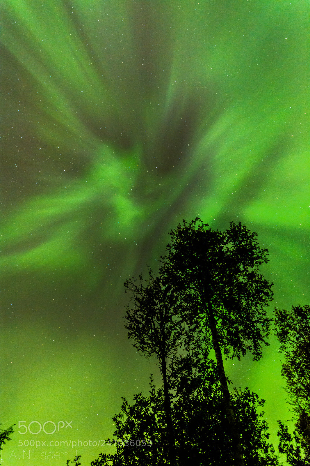 Nikon D7100 sample photo. The green light photography