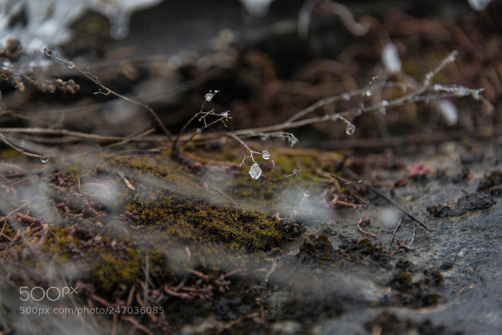 Nikon D600 sample photo. Natural diamond photography
