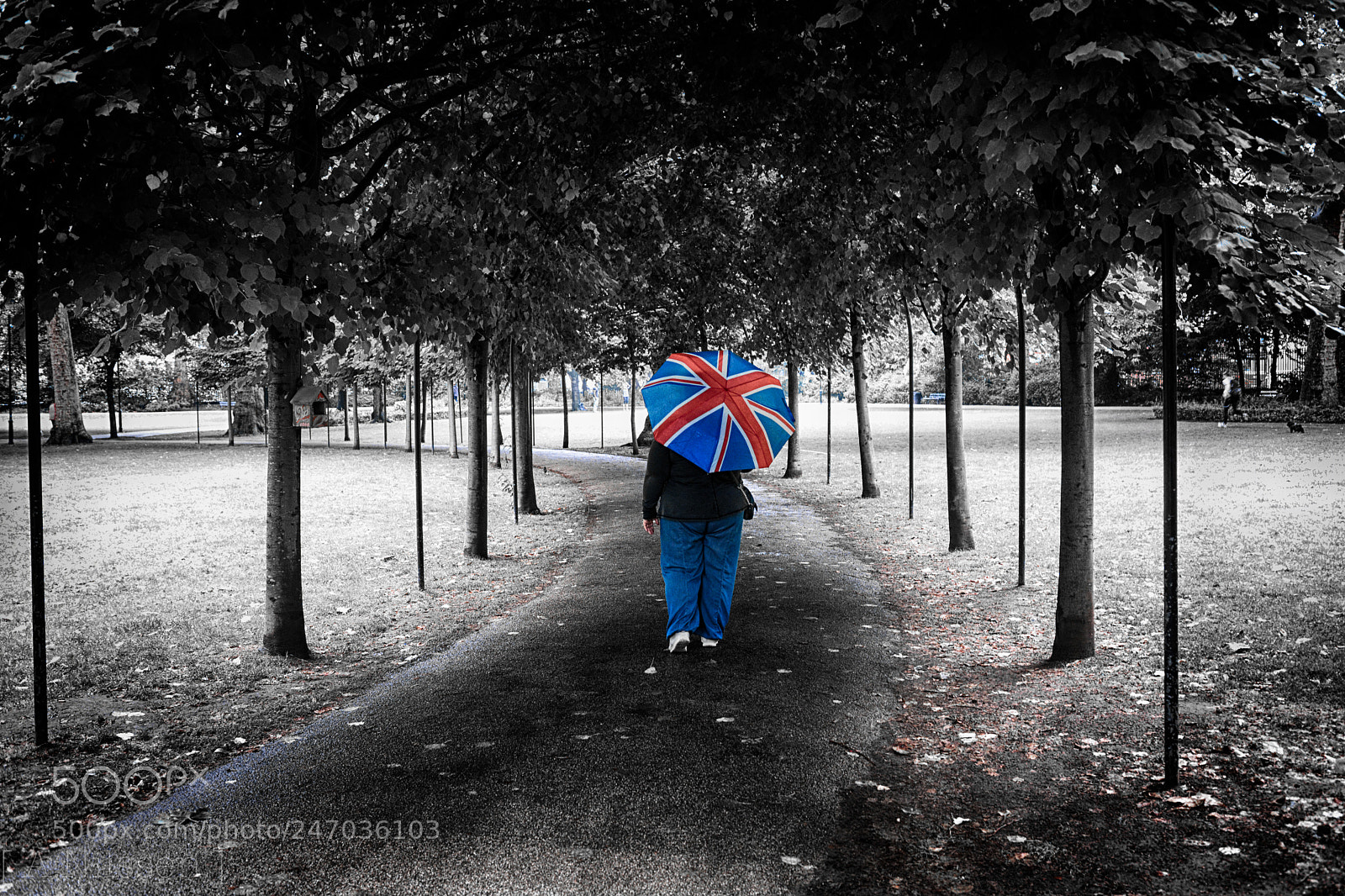 Nikon D7100 sample photo. Walking in a park photography