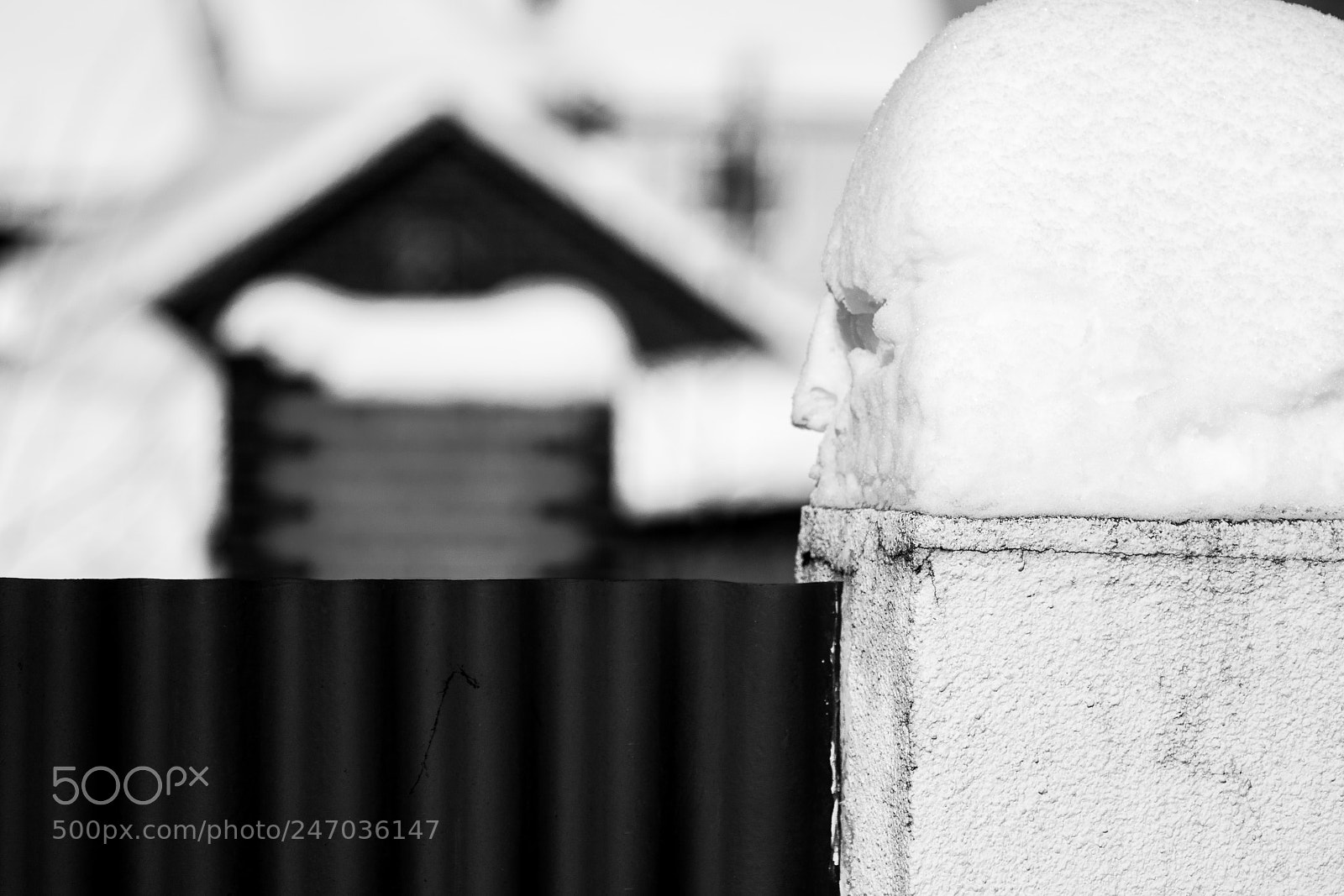 Nikon D7200 sample photo. Snowface photography