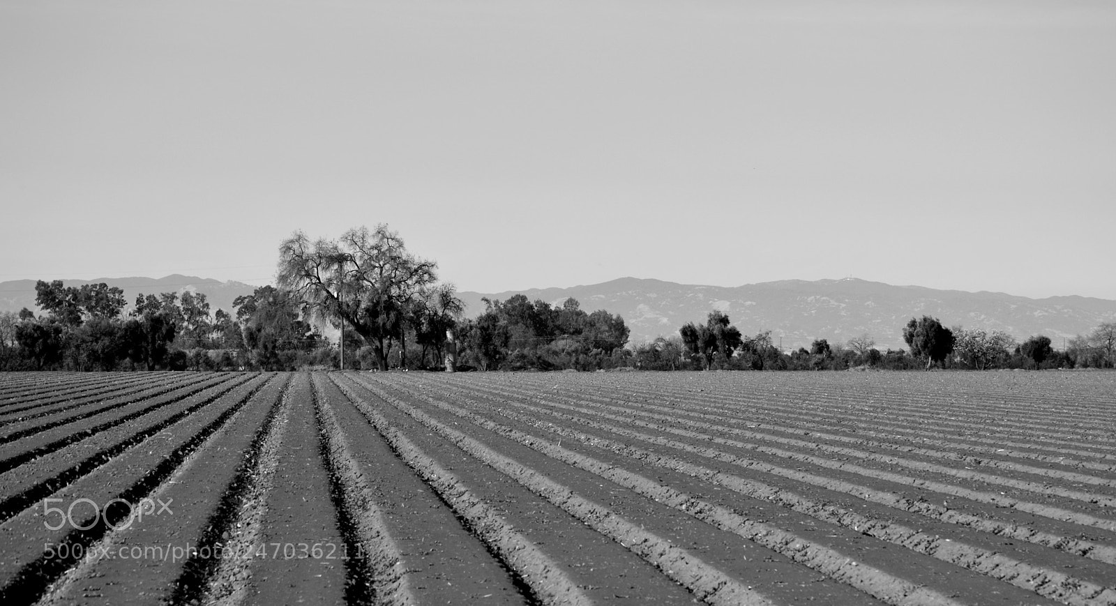 Nikon D3200 sample photo. Crop lines winters photography