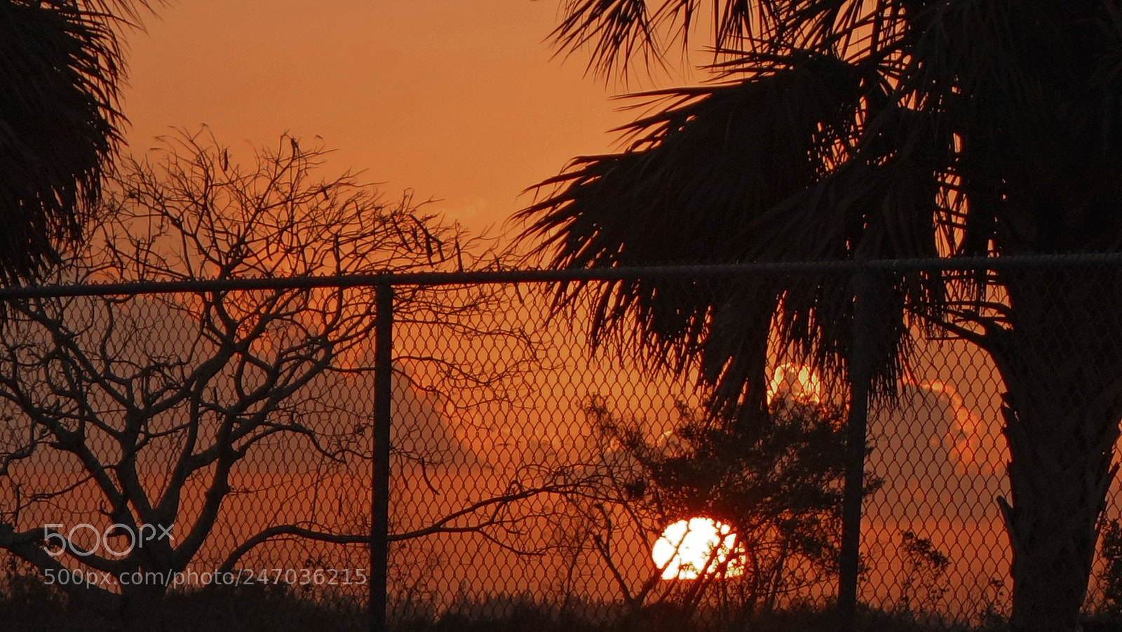 Sony Cyber-shot DSC-RX100 II sample photo. Sunset behind the chainlink photography
