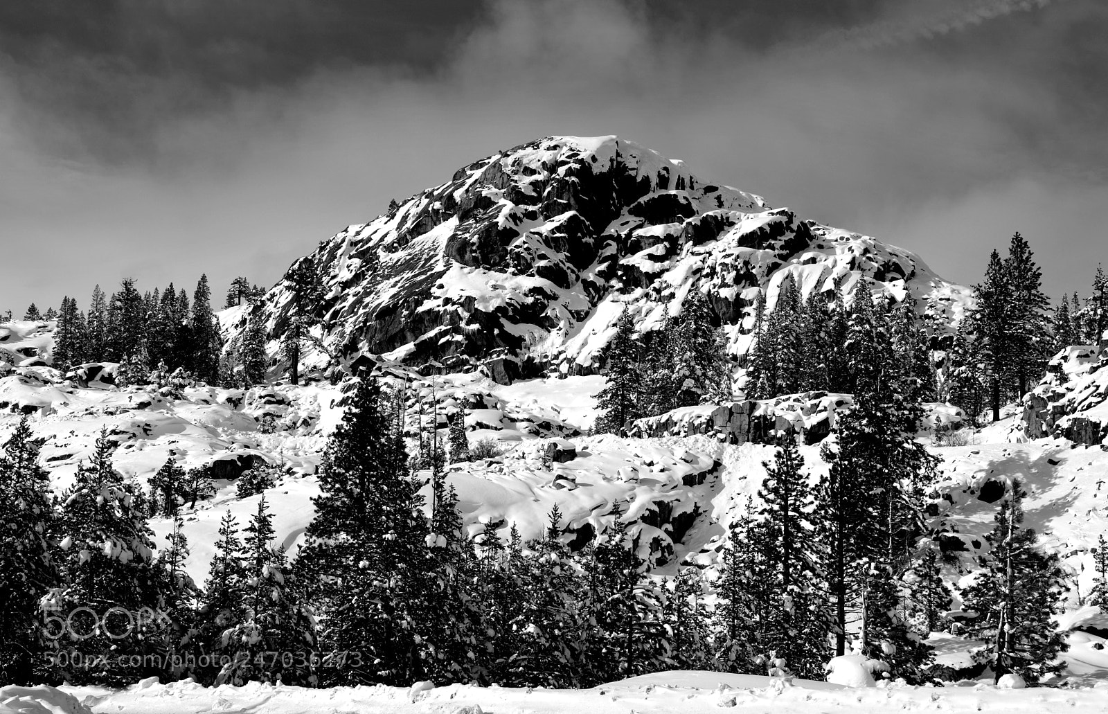 Nikon D3200 sample photo. Donner pass photography