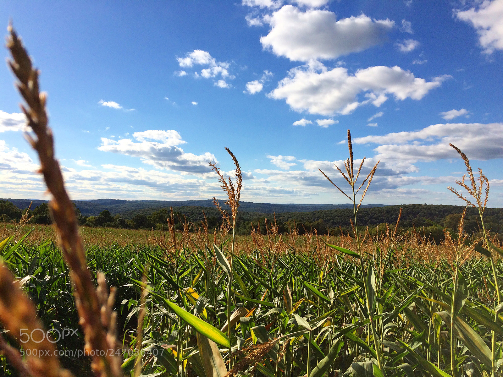 Apple iPhone 5s sample photo. Vanish photography
