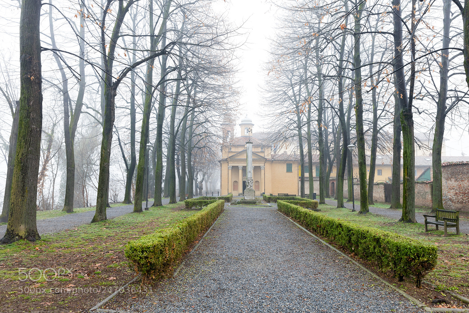 Canon EOS 5DS R sample photo. Nebbia a cherasco photography