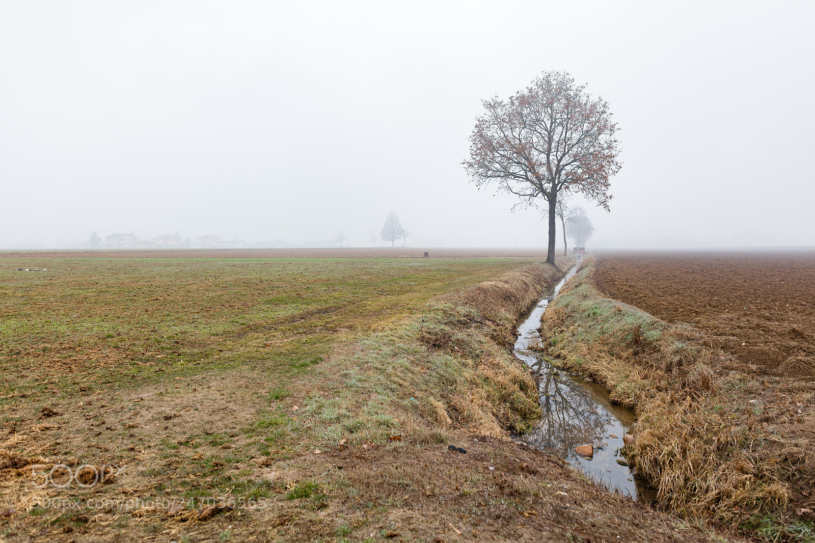 Canon EOS 5DS R sample photo. Nebbia nel cuneese photography