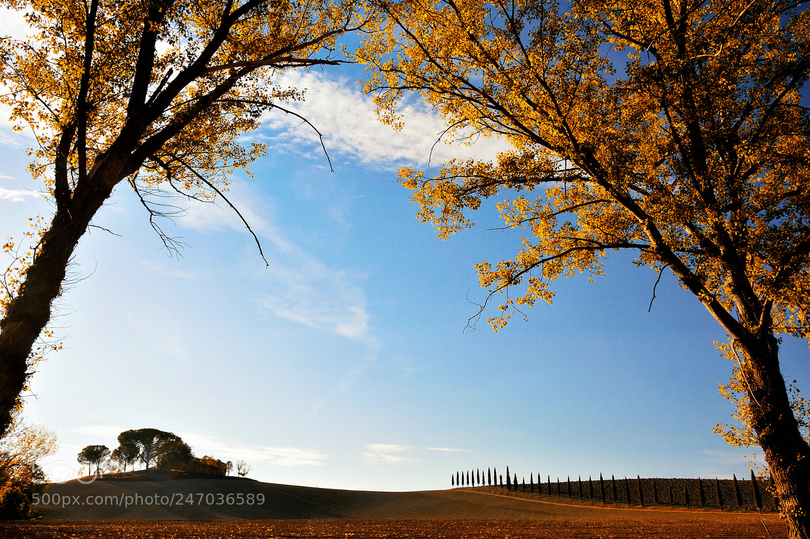 Nikon D7100 sample photo. Autumn memories in val photography