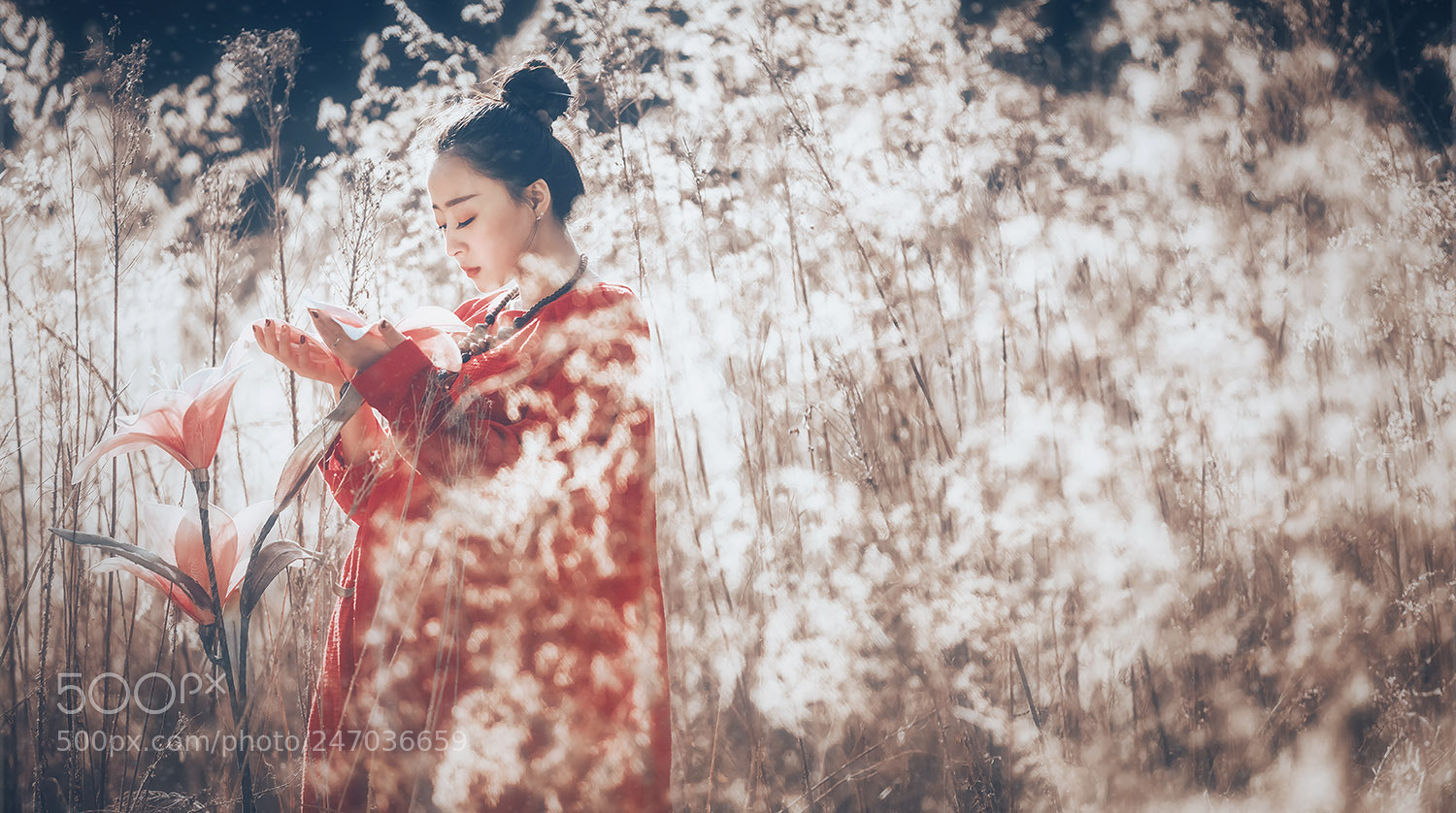 Canon EOS 5DS R sample photo. Untitled photography