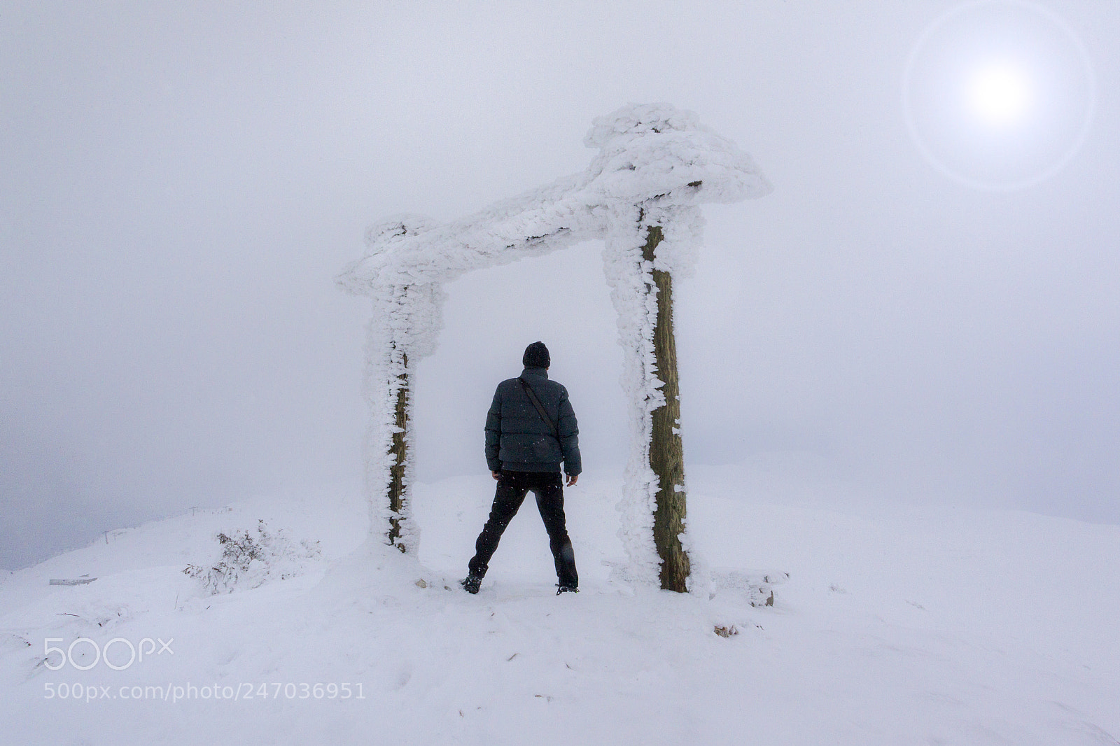 Canon EOS-1D Mark IV sample photo. Fog photography
