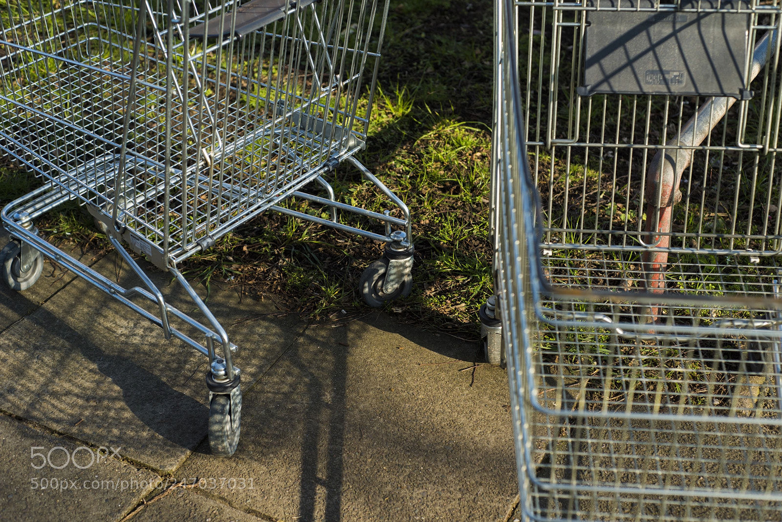 Nikon D810 sample photo. Carts photography