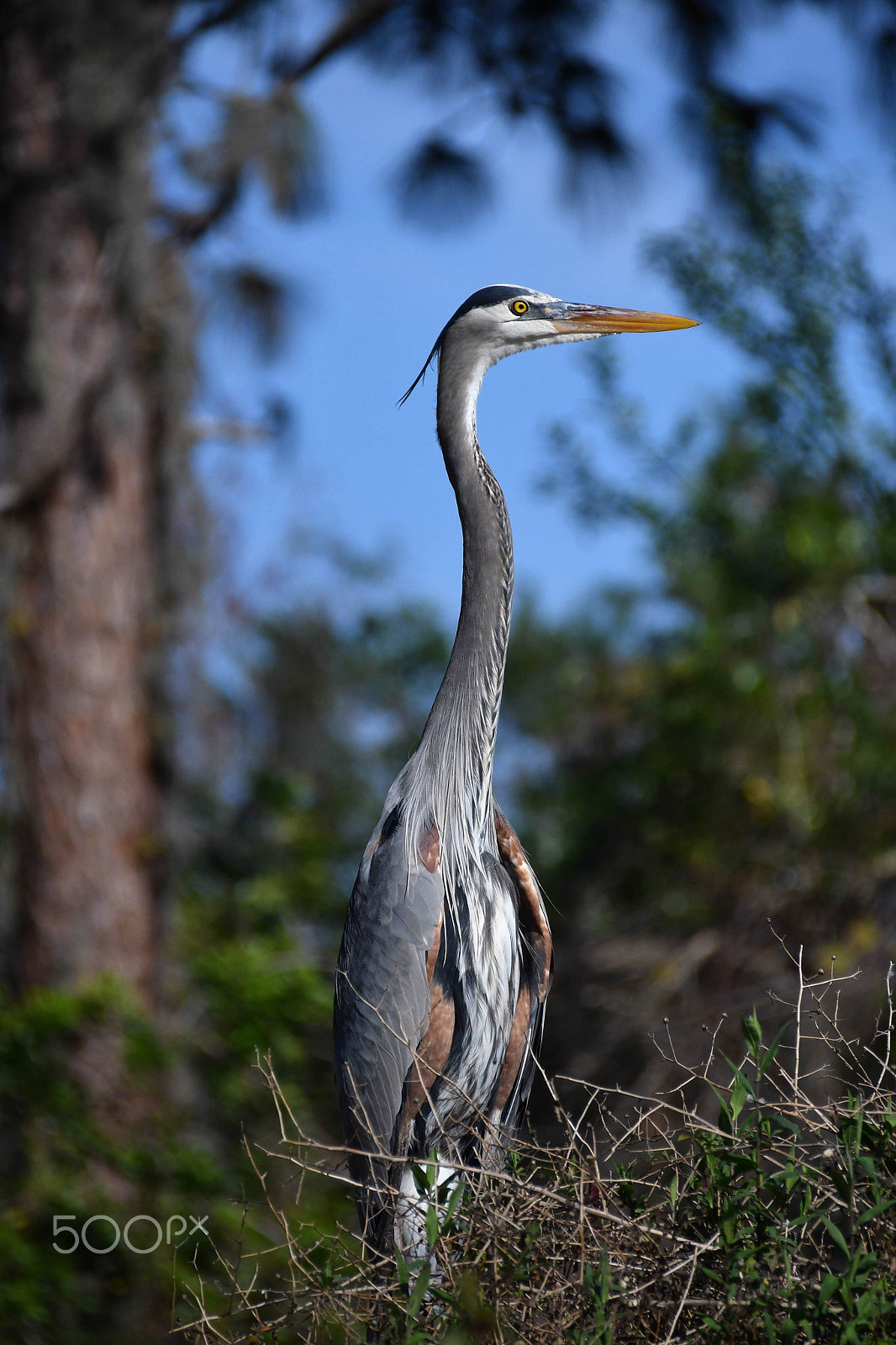 Nikon D500 sample photo. Right place and time photography