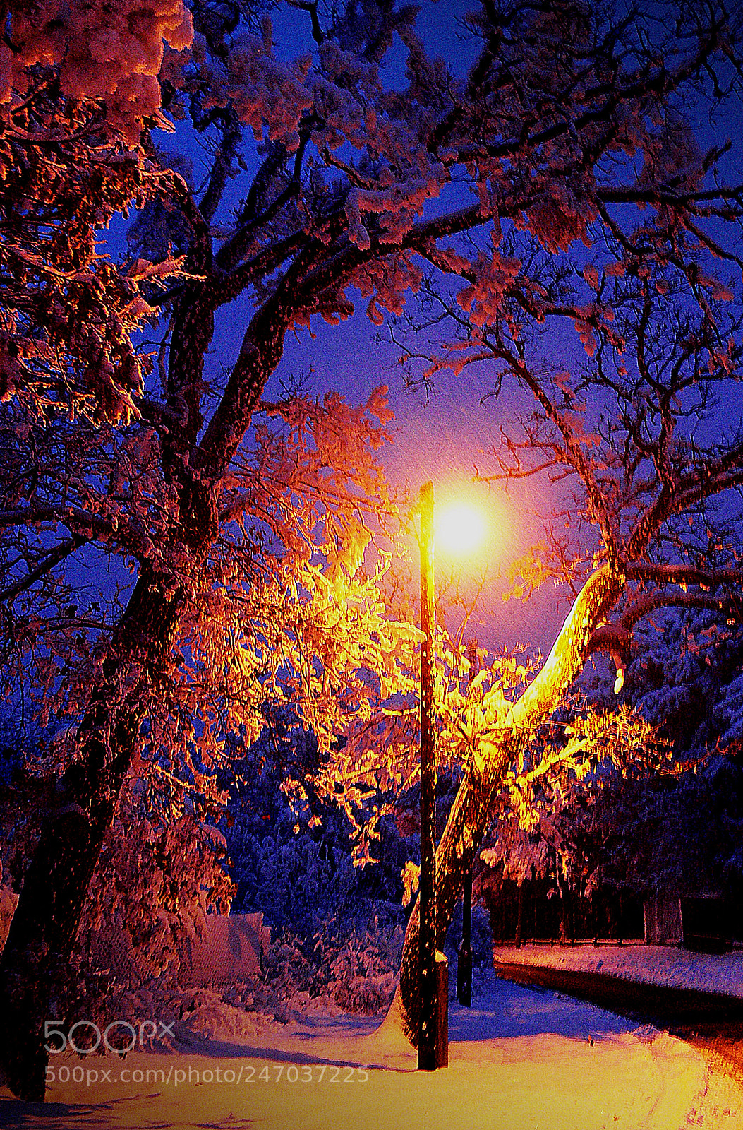 Panasonic DMC-FZ30 sample photo. Winter lights 4. photography