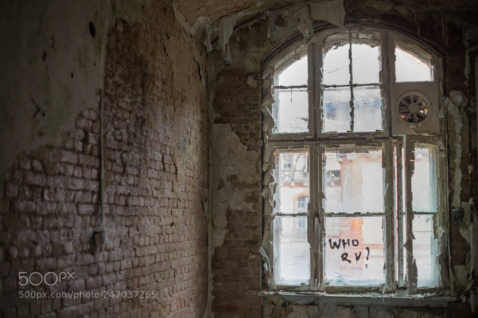 Canon EOS 6D Mark II sample photo. Who r u? photography