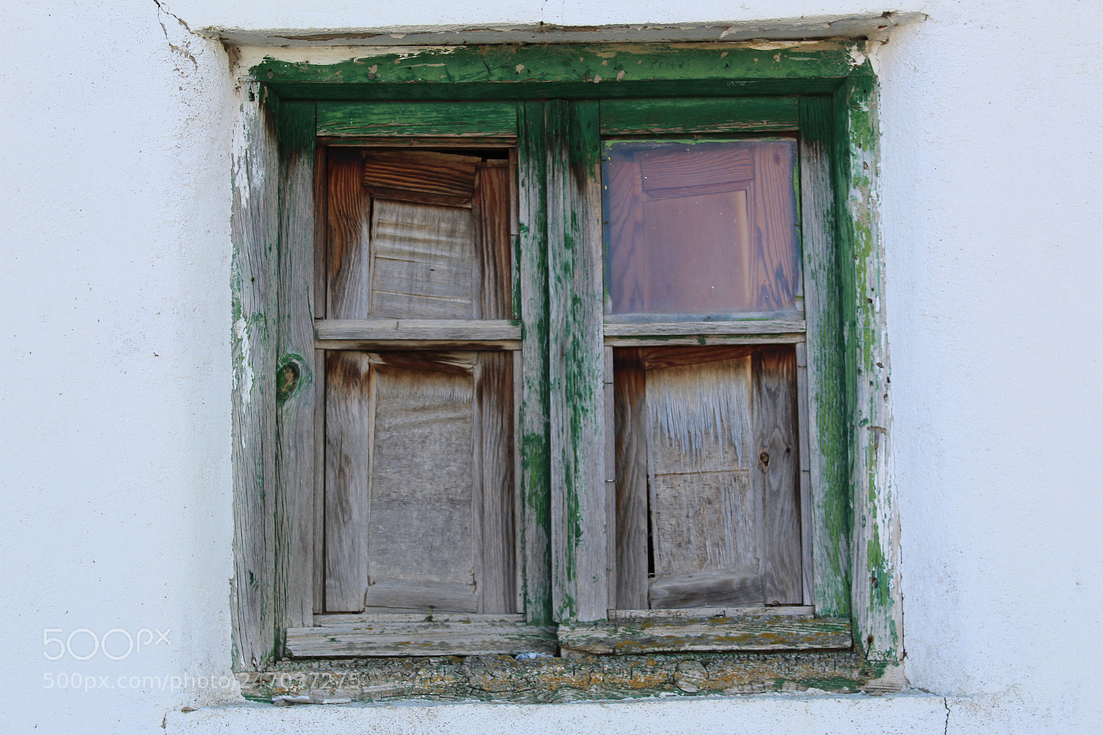 Canon EF-S 18-55mm F3.5-5.6 III sample photo. Ventana en pollos photography