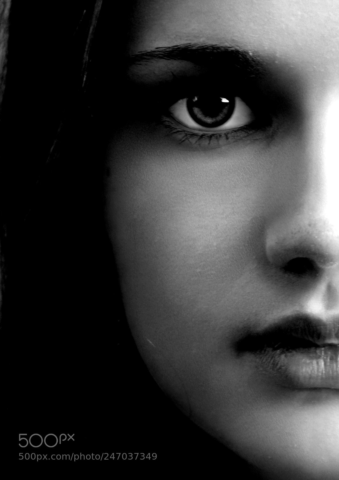 Nikon D5100 sample photo. Perfection photography