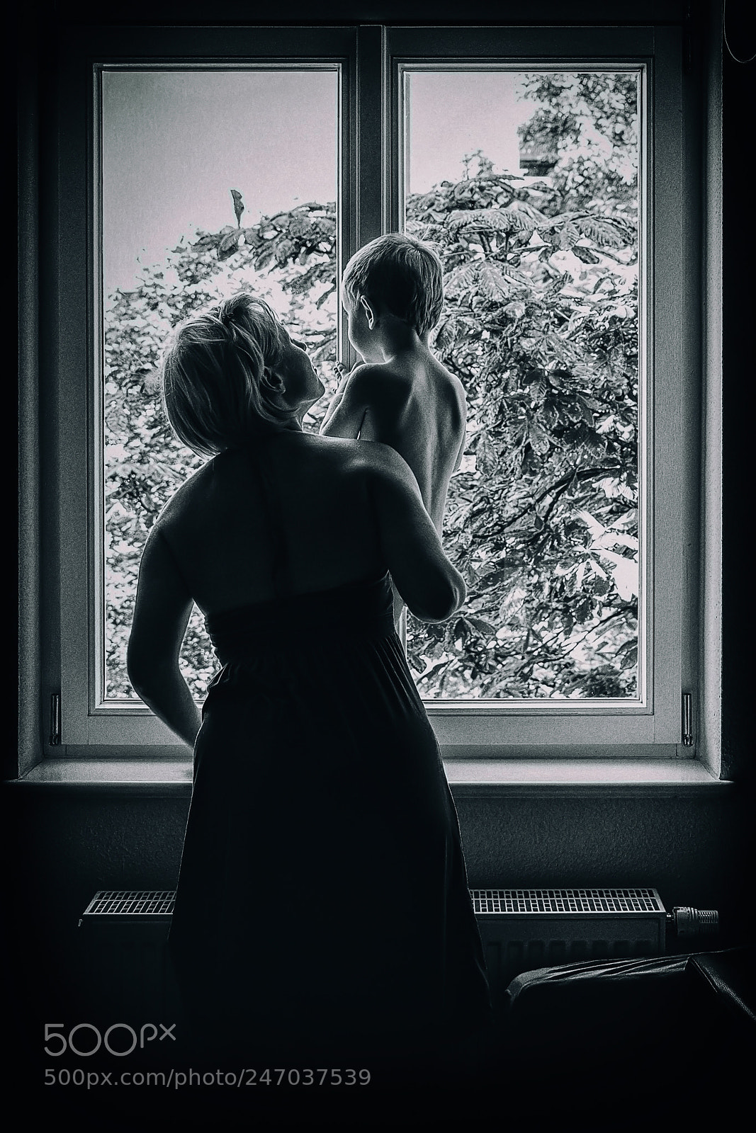 Nikon D800 sample photo. Sei standhaft, duldsam und photography