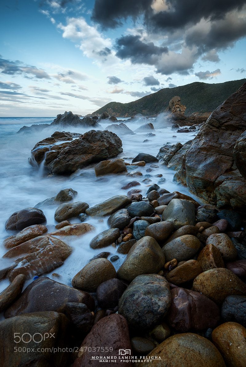 Nikon D610 sample photo. T beach photography