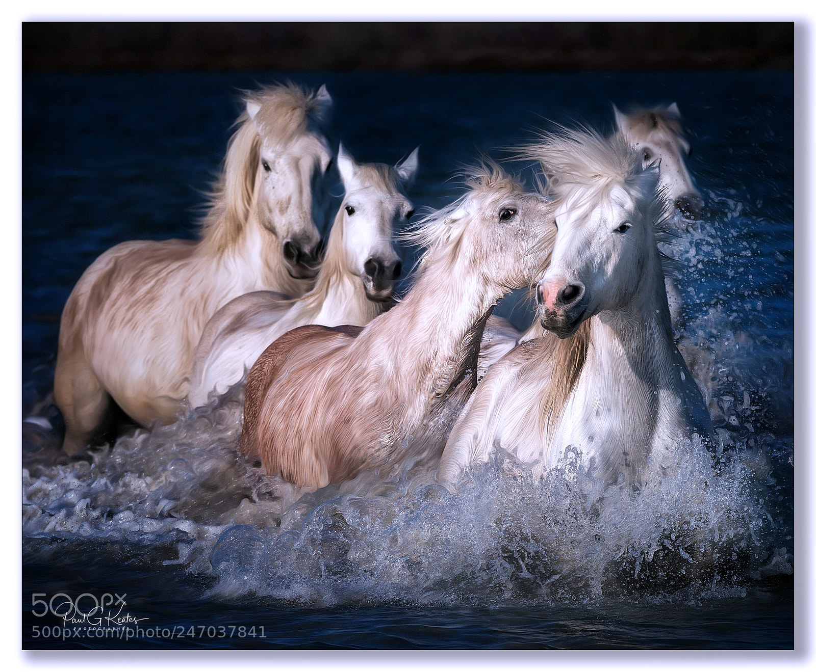 Canon EOS-1D X sample photo. Psst ..it's that photographer photography