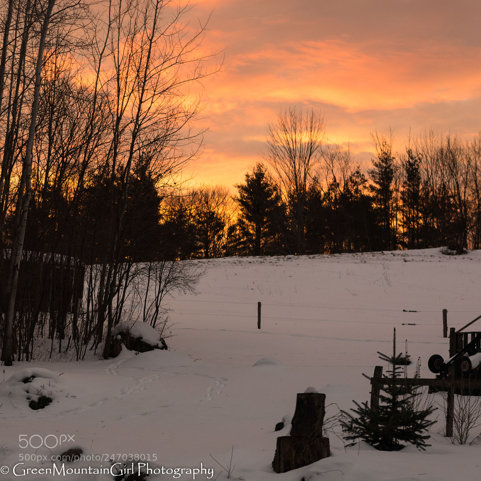 Nikon D810 sample photo. Sun-touched sky at sunrise photography